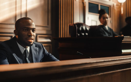 Expert witness testimony training